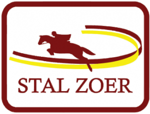 a-zoer-logo-trans
